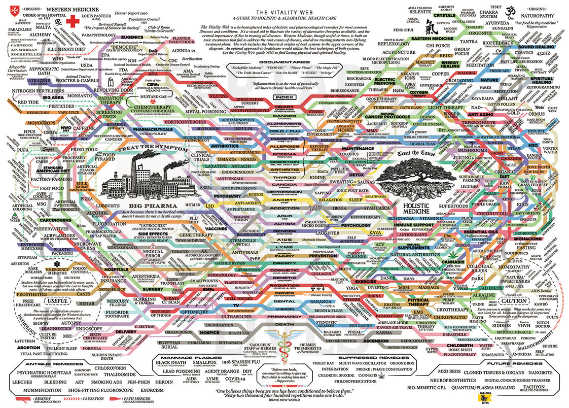 "THE VITALITY WEB" - POSTER