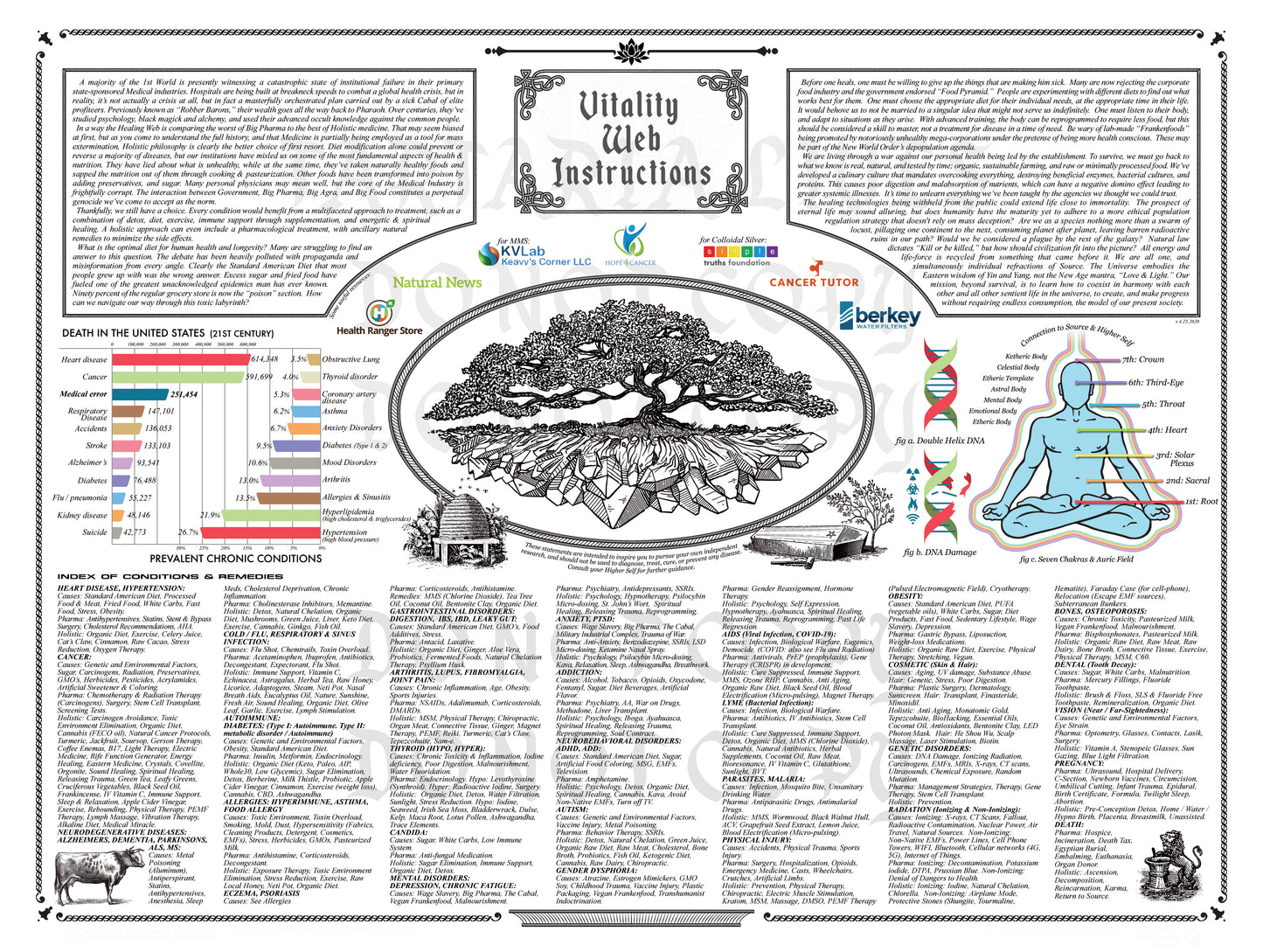 "VITALITY WEB INSTRUCTIONS" - POSTER