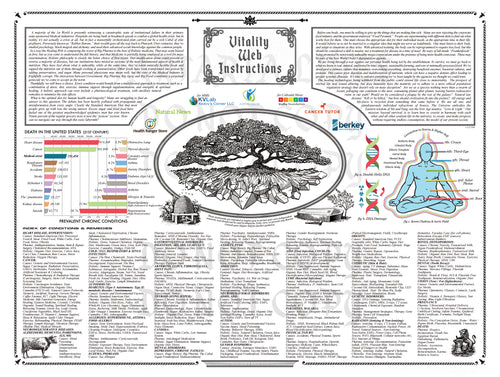 "VITALITY WEB INSTRUCTIONS" - PDF VERSION