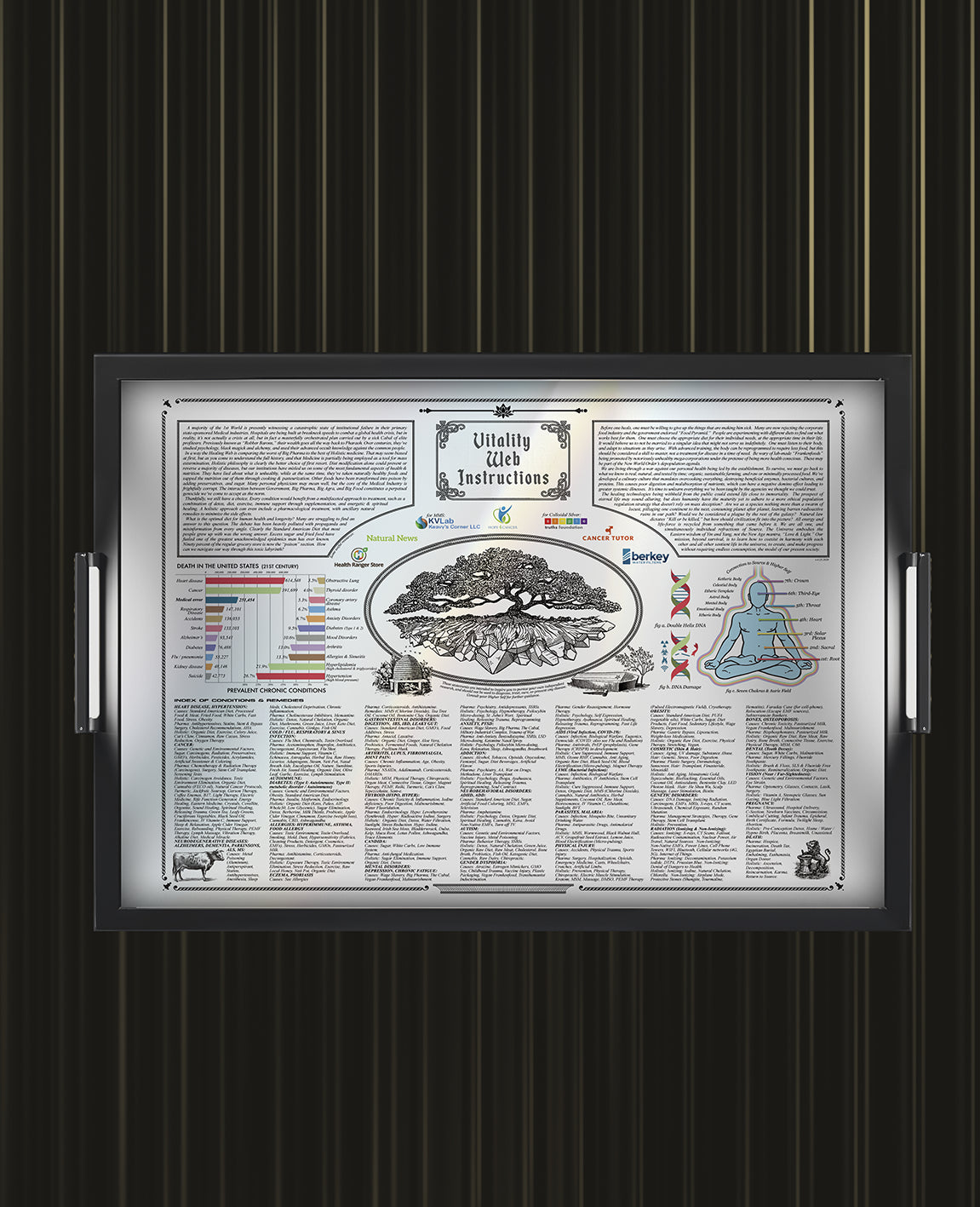 "VITALITY WEB INSTRUCTIONS" - POSTER