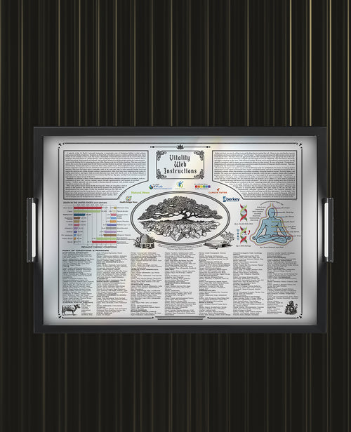 "Vitality Web Instructions" - Poster