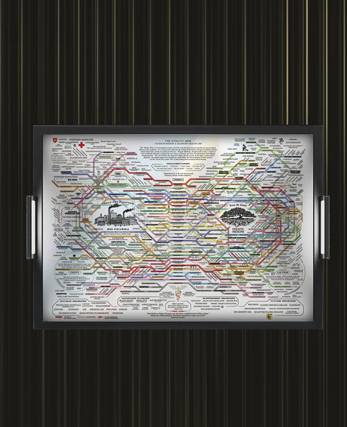 "THE VITALITY WEB" - POSTER